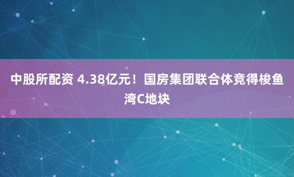中股所配资 4.38亿元!国房集团联合体竞得梭鱼湾C地块