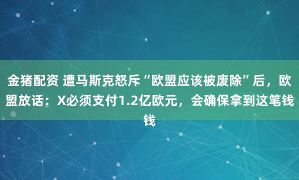 金猪配资 遭马斯克怒斥“欧盟应该被废除”后,欧盟放话:X必须支付1.2亿欧元,会确保拿到这笔钱